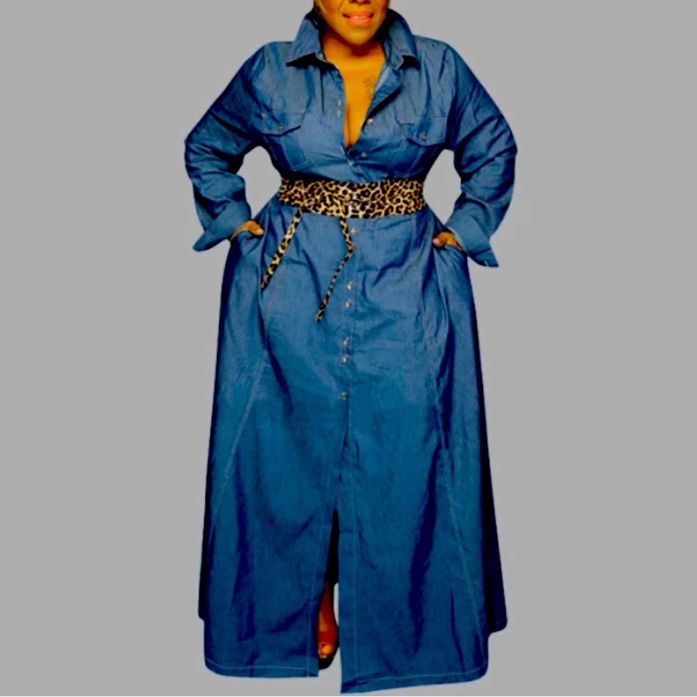 Long-Sleeve Denim Maxi Dress